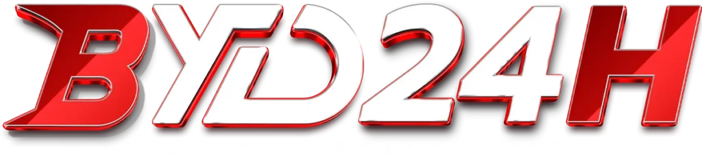 BYD24H